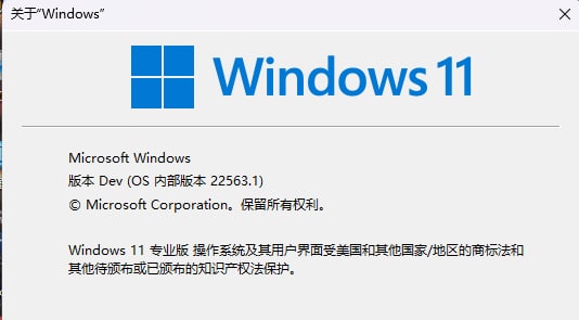 Windows11   最新DEV(去处TPM检测)  1.07G