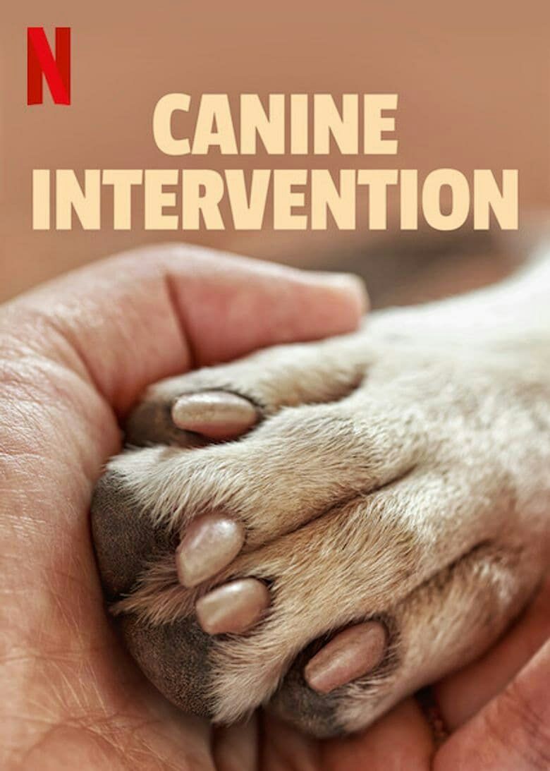 犬类干预 Canine.Intervention（多国字幕含中文） 1.76GB