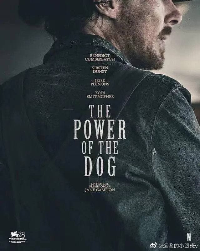 犬之力 The Power of the Dog (2021) 远鉴字幕组  10.43G